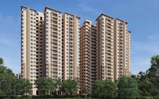 Ambience Parkview